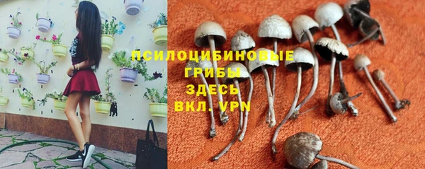 дживик Аркадак