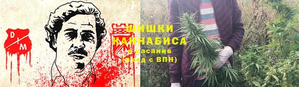 ешки Алзамай