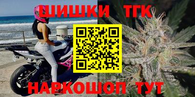 индика Ирбит