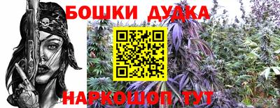 индика Ирбит