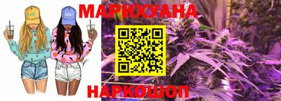 индика Ирбит