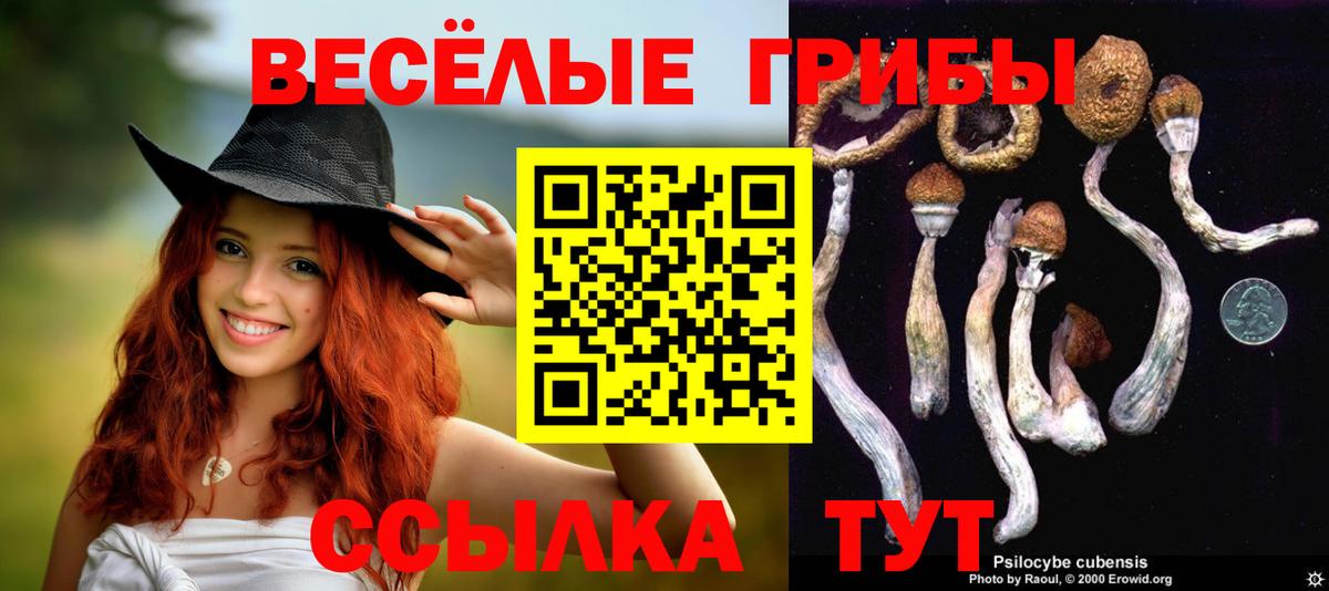 Псилоцибиновые грибы ЛСД  Вход с VPN  Псилоцибиновые грибы Psilocybine cubensis  Лянтор 